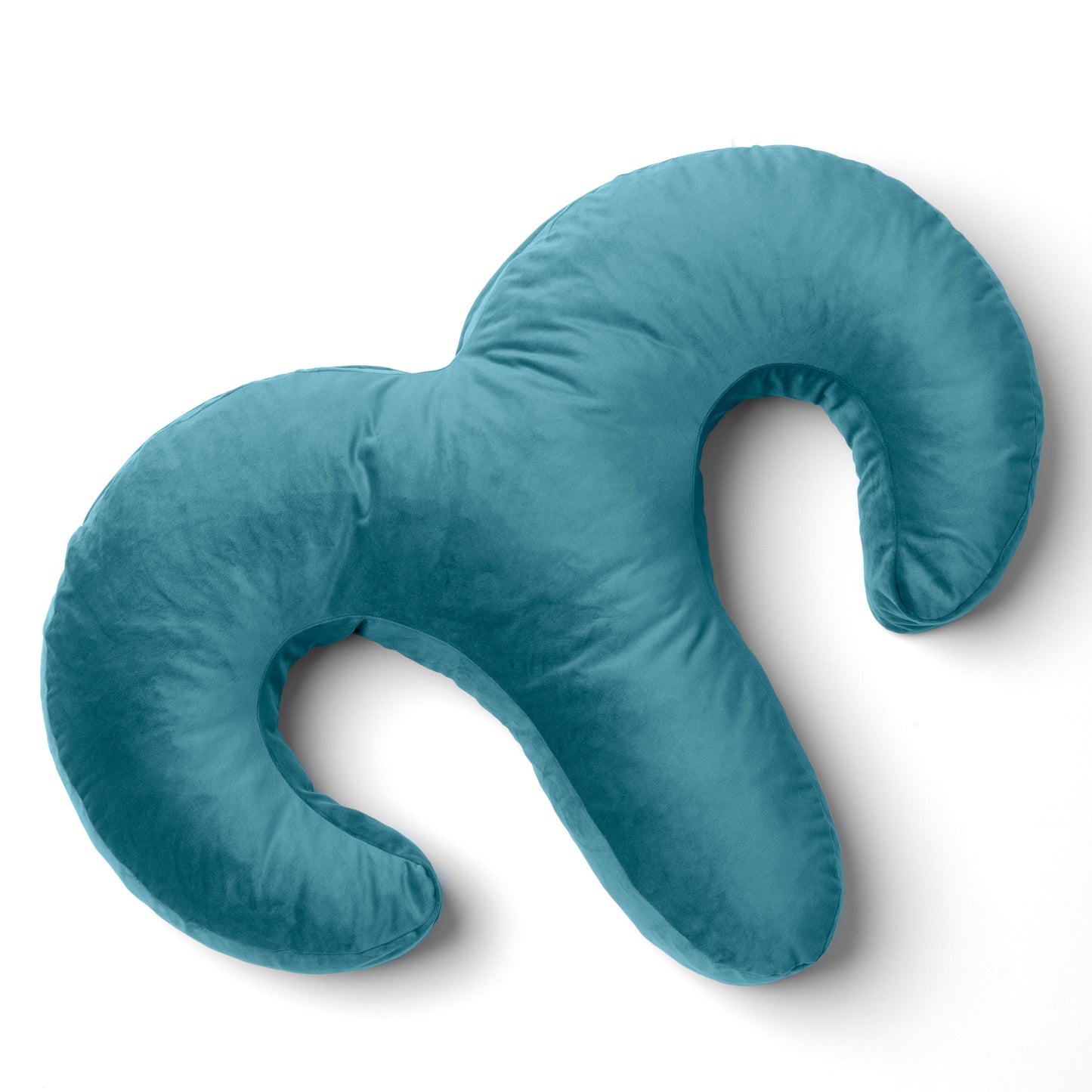 Teal Arie Duo Couples Pillow by Liberator against white background.